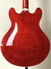 Eastman 【ハイコストパフォーマンスなセミアコ!!】【良杢目個体!!】T-486 -Classic-_3