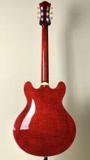 Eastman 【ハイコストパフォーマンスなセミアコ!!】【良杢目個体!!】T-486 -Classic-_4
