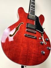 Eastman 【ハイコストパフォーマンスなセミアコ!!】【良杢目個体!!】T-486 -Classic-_5
