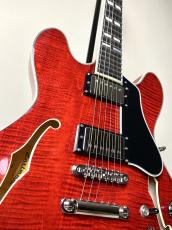 Eastman 【ハイコストパフォーマンスなセミアコ!!】【良杢目個体!!】T-486 -Classic-_6