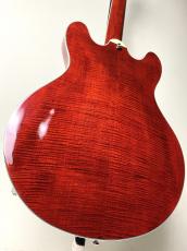Eastman 【ハイコストパフォーマンスなセミアコ!!】【良杢目個体!!】T-486 -Classic-_7