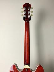 Eastman 【ハイコストパフォーマンスなセミアコ!!】【良杢目個体!!】T-486 -Classic-_9