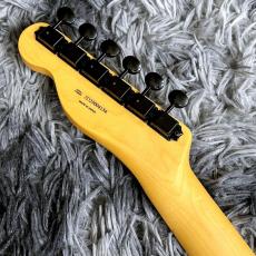 Fender Monster Hunter Rathalos Telecaster Rathalos Red #293 【特価】_7