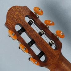YAMAHA SLG200N NT02_4