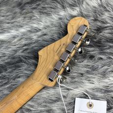Fender Limited Player II Stratocaster Oxblood_8