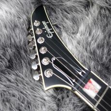 Epiphone Extura Prophecy Aged Bengal Tiger Burst_4