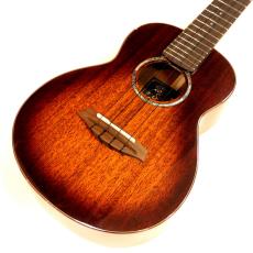 Singer RC1M Mahogany Tabacco Sunburst