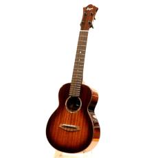 Singer RC1M Mahogany Tabacco Sunburst_2