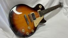 Epiphone LP-100_2