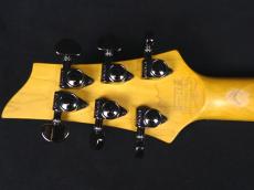 SCHECTER Damien Elite-6 w/Floyd Rose Trans Black Burst 2016 ★盛夏SALE☆_9