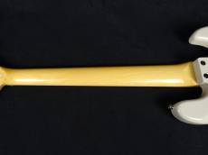 FUJIGEN NJB100RALVL VWH 2024_8