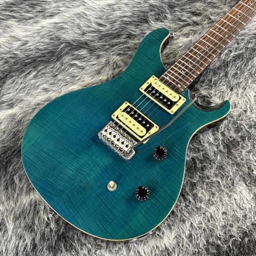 Paul Reed Smith [PRS] SE Custom24 Blue Matteo