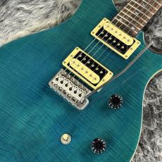 Paul Reed Smith [PRS] SE Custom24 Blue Matteo_2