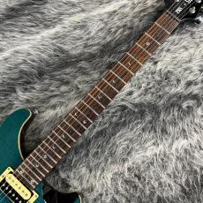 Paul Reed Smith [PRS] SE Custom24 Blue Matteo_3