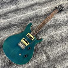 Paul Reed Smith [PRS] SE Custom24 Blue Matteo_5