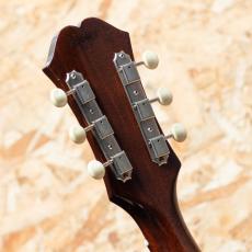 Epiphone FT-79 Texan 1964_9
