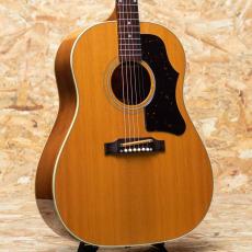 Gibson J-50 2001