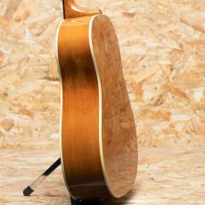 Gibson J-50 2001_5