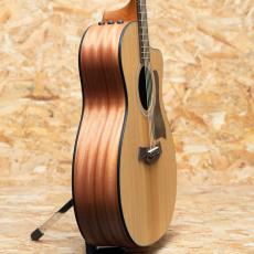 Taylor 114ce-S_4