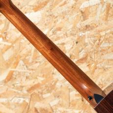 Taylor 414ce Studio Shaded Edgeburst_7