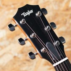 Taylor 414ce Studio Shaded Edgeburst_8