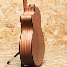 Taylor 114ce-S_5