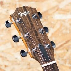 Taylor 114ce-S_8