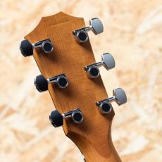 Taylor 114ce-S_9
