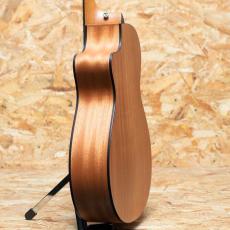 Taylor 112ce-S_5