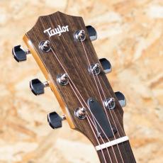 Taylor 112ce-S_8