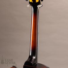 Landscape AR-101_9