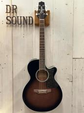Takamine PTU100 MOD GBB 【無金利分割OK】【送料込み】_2