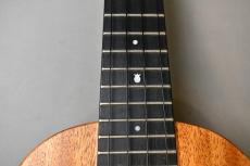 Millar CPA-E Concert【S/N 114】_8