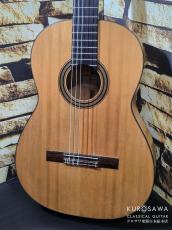 Domingo Esteso ドミンゴ・エステソ 1921年製 松・シープレス 【日本総本店2F 在庫品】_2