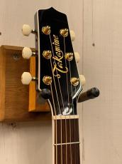 Takamine PTU100 CTM Black 【無金利分割OK】【送料込み】_7