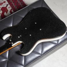 Silvertone 1965 Model 1449 Amp-in-Case_5
