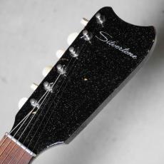 Silvertone 1965 Model 1449 Amp-in-Case_8