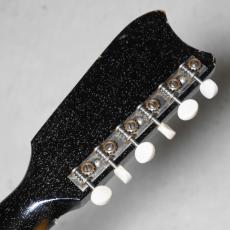 Silvertone 1965 Model 1449 Amp-in-Case_9