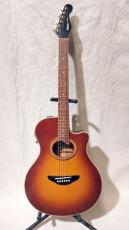 YAMAHA APX-6SA