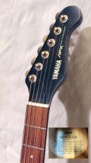 YAMAHA APX-6SA_6