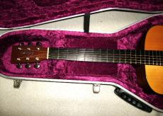 Lakewood M-1_2