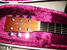 Lakewood M-1_9