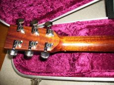 Lakewood M-1_10