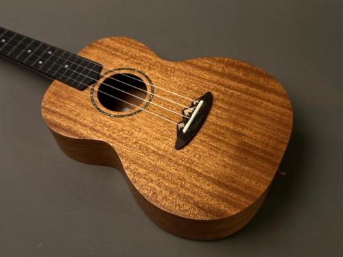 TODO MUSIC UTD-B10T Tenor