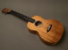 TODO MUSIC UTD-B10T Tenor_2