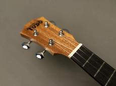 TODO MUSIC UTD-B10T Tenor_5