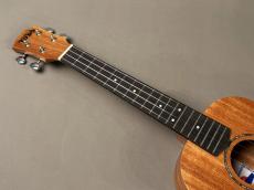 TODO MUSIC UTD-B10T Tenor_6