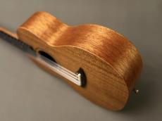 TODO MUSIC UTD-B10T Tenor_8