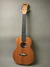 TODO MUSIC UTD-B10T Tenor_11