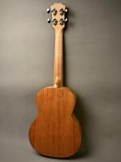 TODO MUSIC UTD-B10T Tenor_12